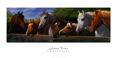 Companions