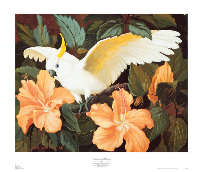 Cockatoo and Hibiscus