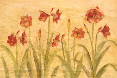 Row of Red Amaryllis