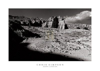 Desert Landscape