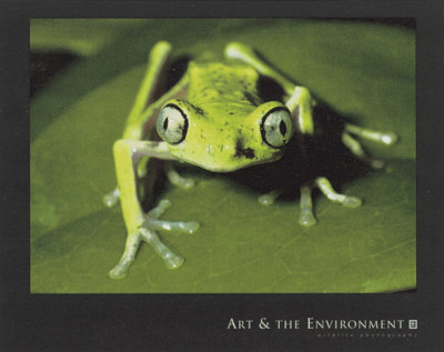 Maki Frog