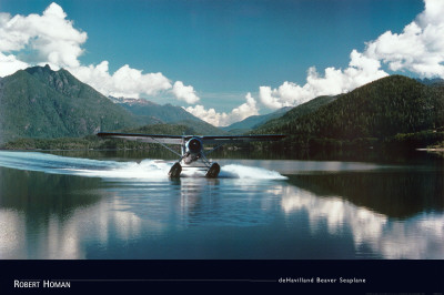Buy De Havilland Beaver Seaplane at AllPosters.com