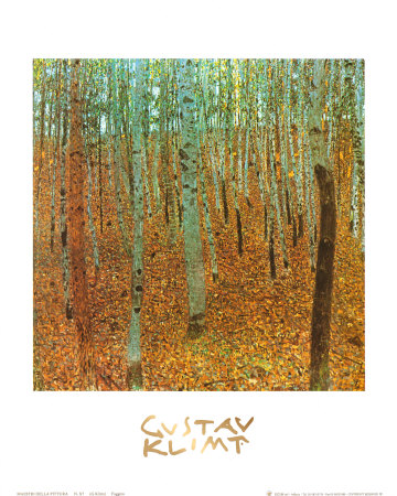 Forest of Beeches