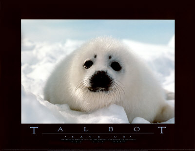 Buy Save Us at AllPosters.com