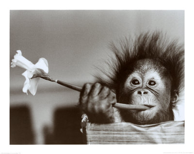 Hair Raising Experience