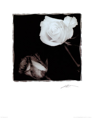 Buy Two Roses at AllPosters.com