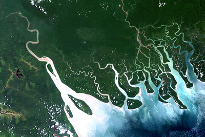 Satellite Image of Hawooi and Kikori Deltas, Papua New Guinea