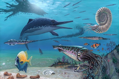 Ichthyosaur And Prey, Artwork