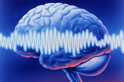 Drawing of brain on blue background with EEG waves superimposed