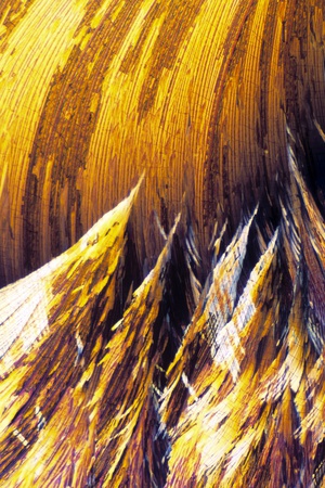 yellow, white and brown cortisol crystals look a little like gold pine trees against a cliff
