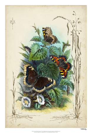 Victorian Butterfly Garden IV