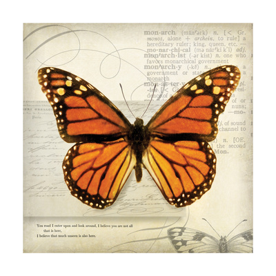 Butterflies Script II