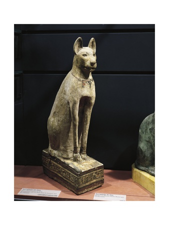 Plastered and Painted Wood Sarcophagus of a Cat.