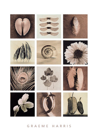 Buy Composition I at AllPosters.com