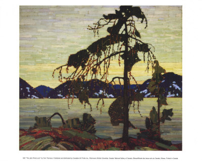 Jack Pine