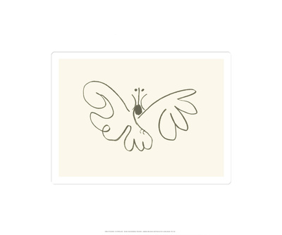 Buy The Butterfly at AllPosters.com