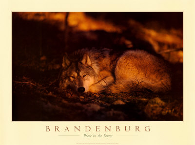 Buy Peace in the Forest at AllPosters.com