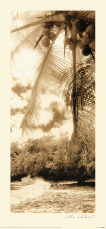 Buy Equatorial Breeze II at AllPosters.com