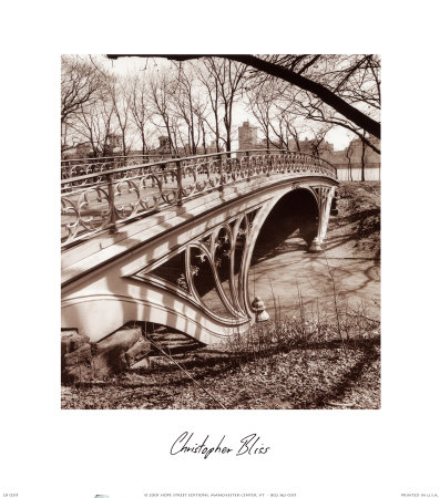 Central Park Bridge III