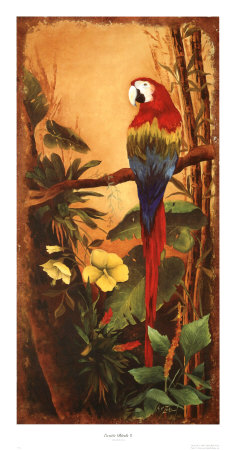 Exotic Birds II