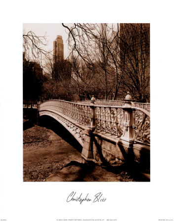 Central Park Bridge II