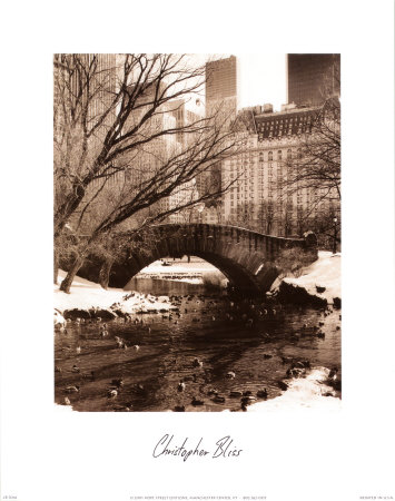 Buy Central Park Bridge IV at AllPosters.com