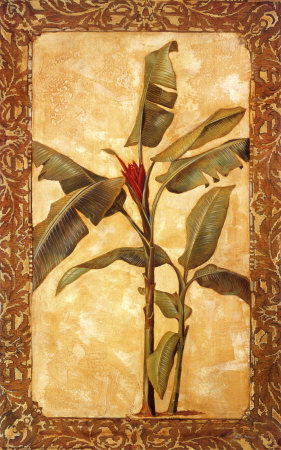 Tropical Daydream I