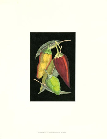Hot Peppers II
