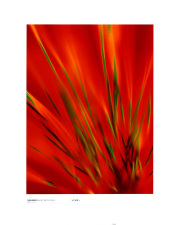 Buy Flexi Grass, Bright Green on Red at AllPosters.com