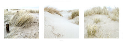 Buy Dunes at AllPosters.com