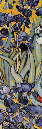 Buy Irises, Saint-Remy, c.1889 (detail) at AllPosters.com