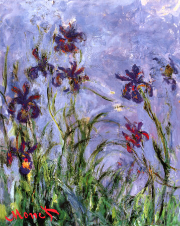 Buy Irises at AllPosters.com