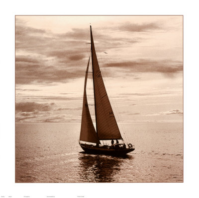 Buy Sailing V at AllPosters.com