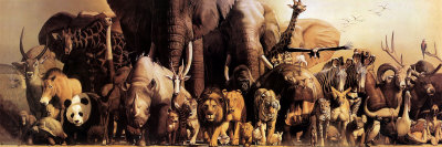Noah's Ark