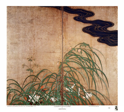Flowering Plants of Summer