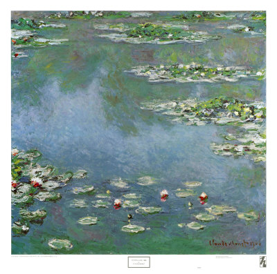 Waterlilies