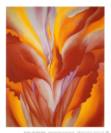 Red Canna