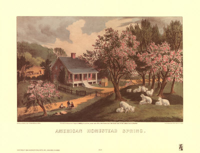 American Homestead Spring