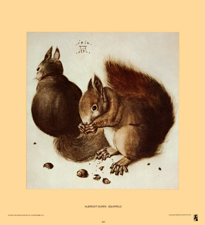 Buy Squirrels at AllPosters.com