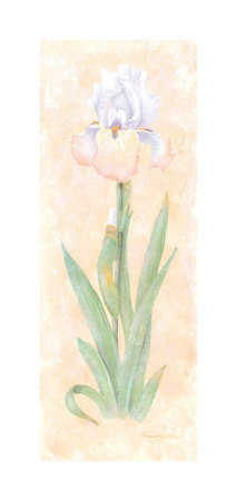 Iris Soliloquy II