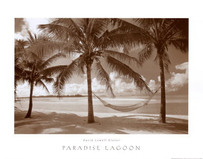 Buy Paradise Lagoon at AllPosters.com