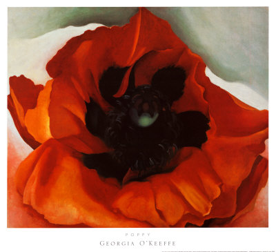Poppy
