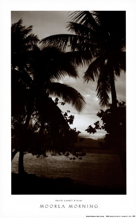 Buy Moorea Morning at AllPosters.com