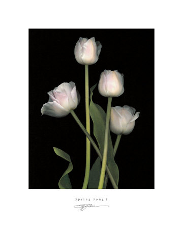 Spring Song I
