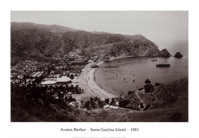 Avalon Harbor, Santa Catalina Island, California 1885