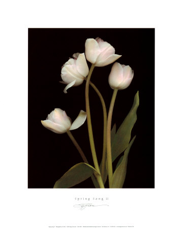 Spring Song II