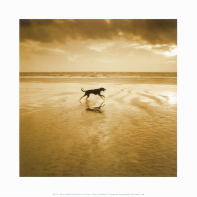 Buy Dog on the Beach, West Wittering at AllPosters.com