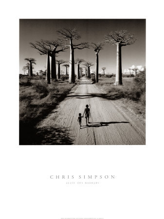 Allee des Baobabs