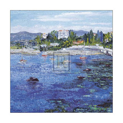 Le Petit Port a Antibe