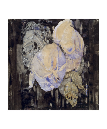 Faded Roses